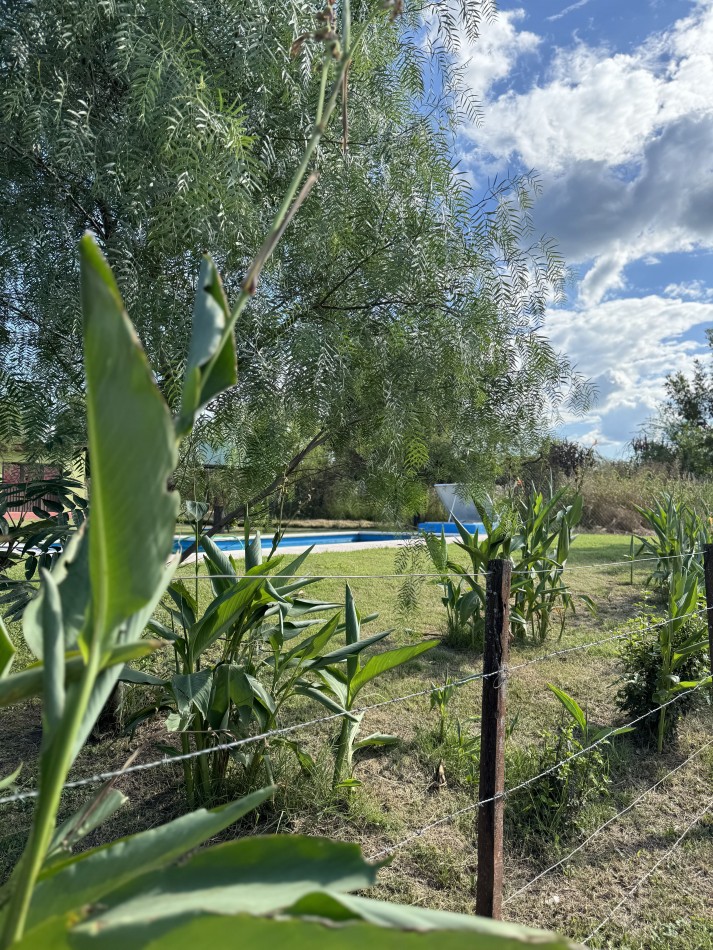 CASA DE GRAN LOTE EN VILLA DEL DIQUE! 