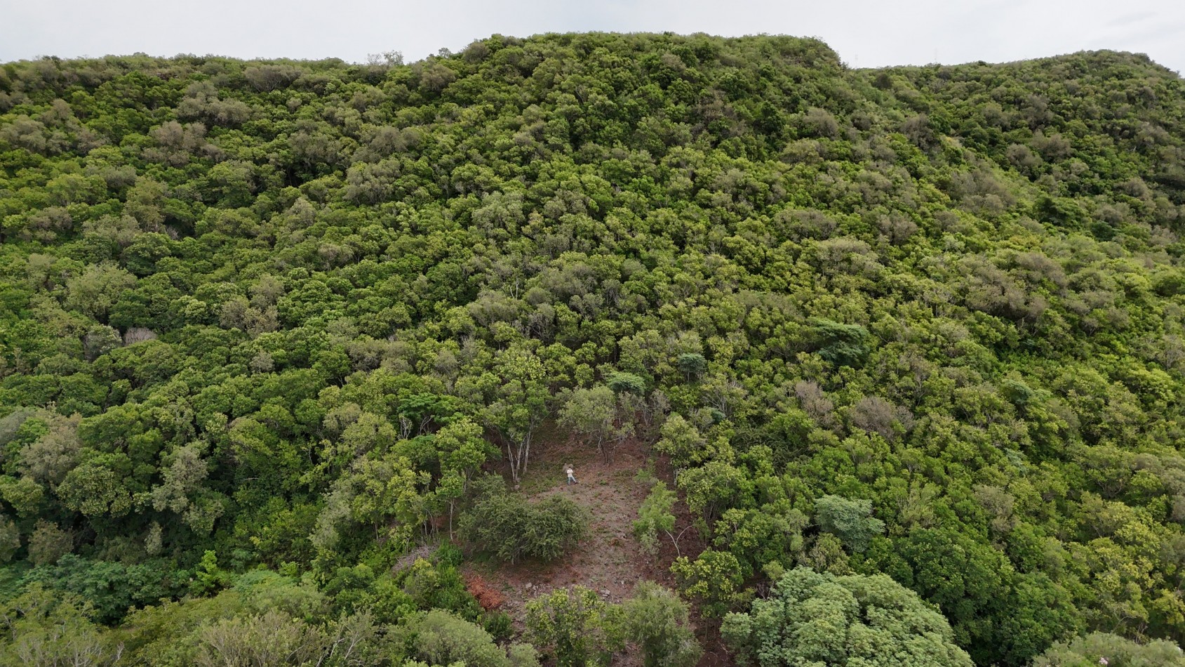 Terreno con Ubicacion Inmejorable!